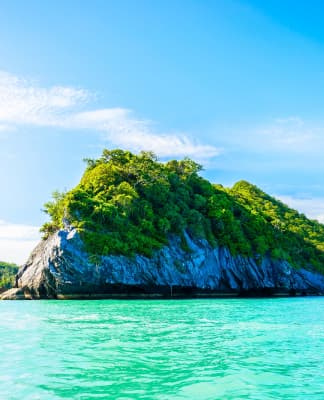 gallery_14_1